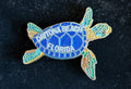 Daytona Beach turtle magnet