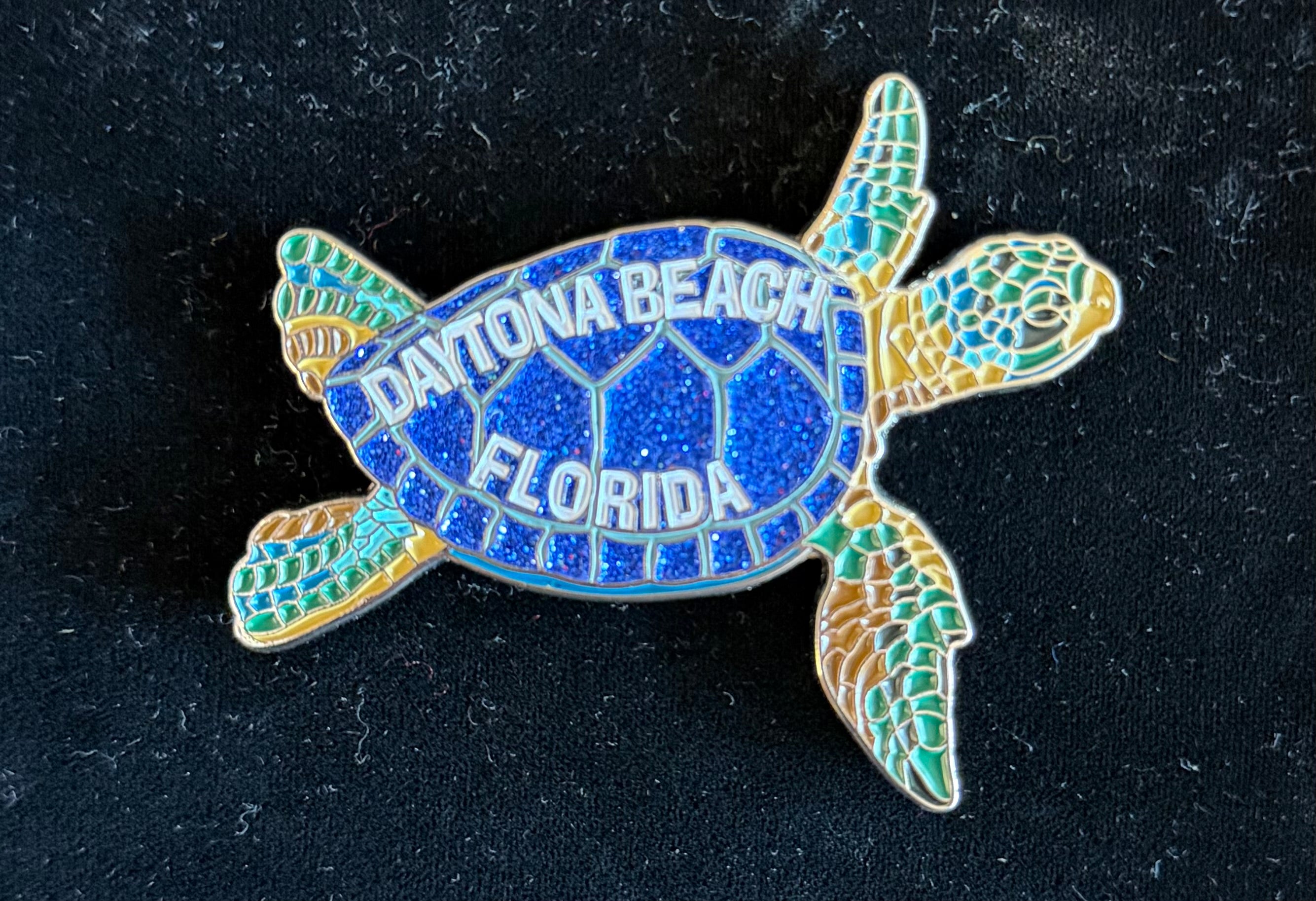 Daytona Beach turtle magnet