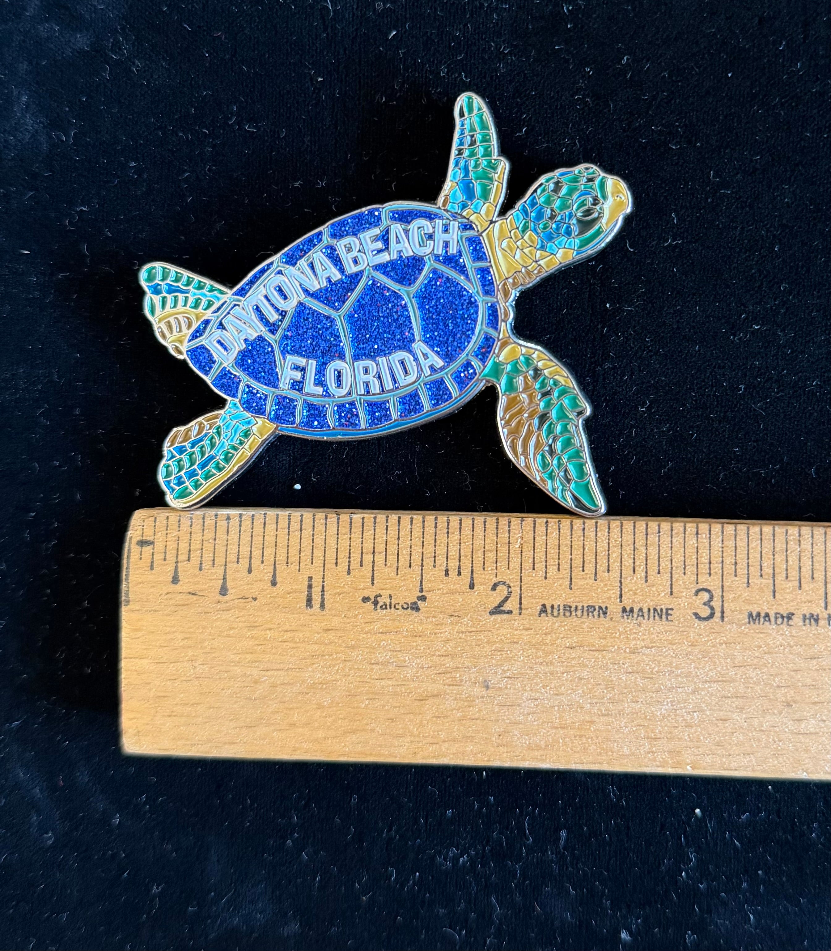 Daytona Beach turtle magnet