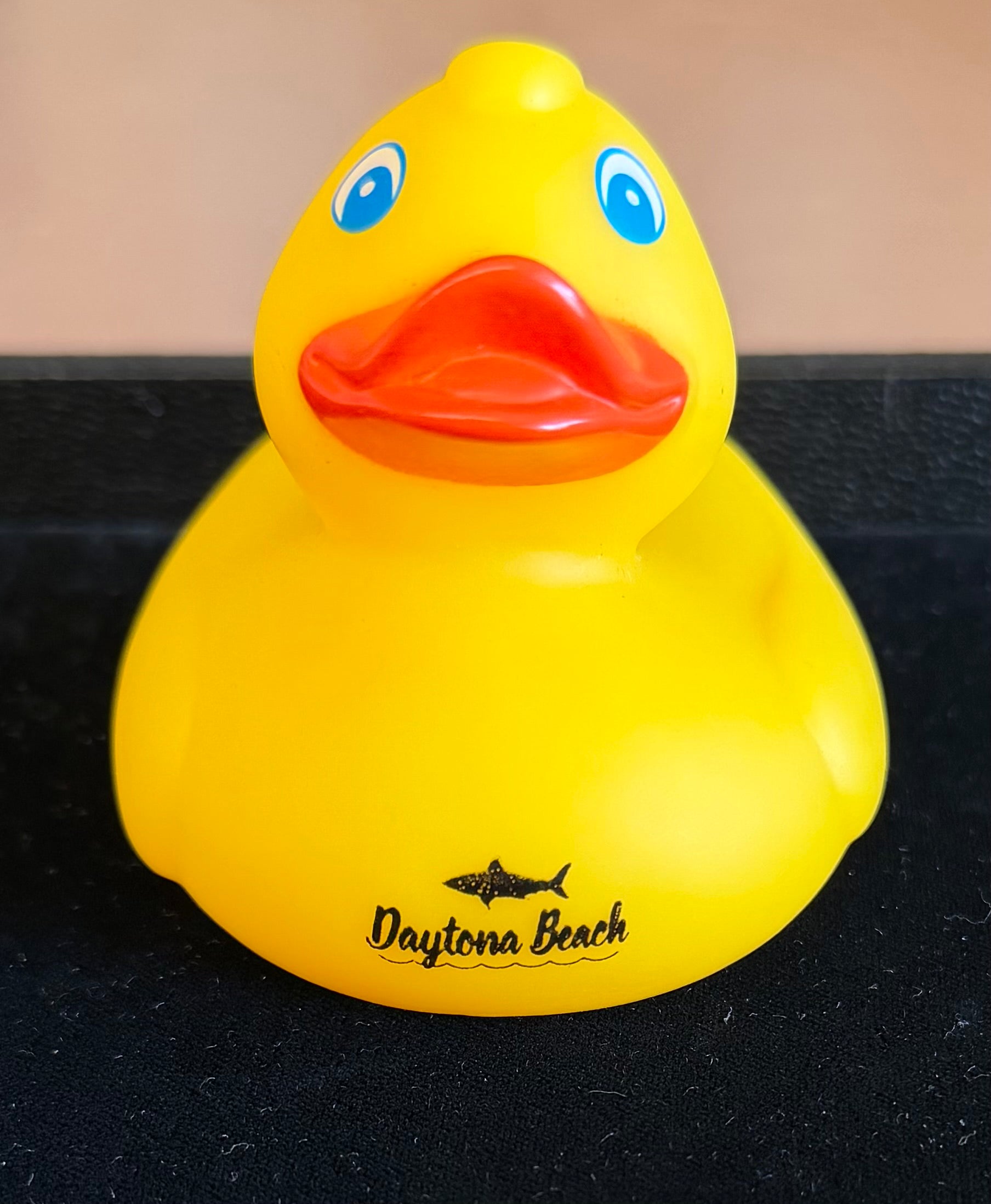 Daytona Beach Duck