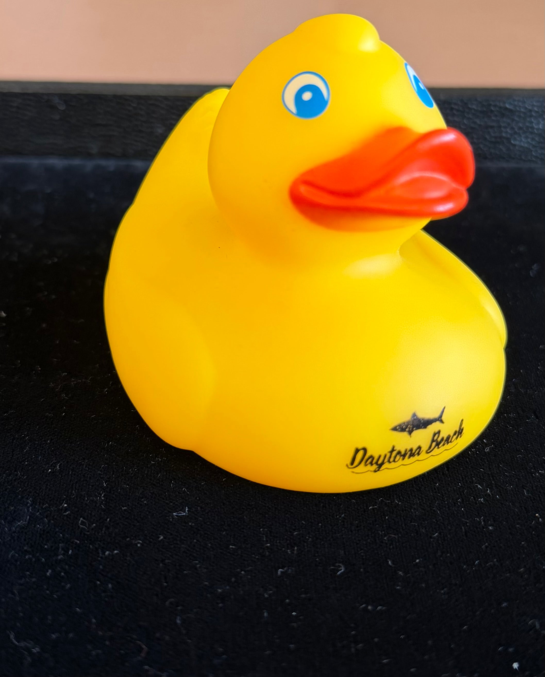 Daytona Beach Duck